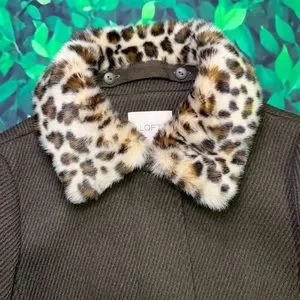Ann taylor loft leopard coat online